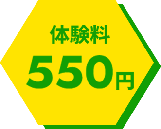 体験料550円